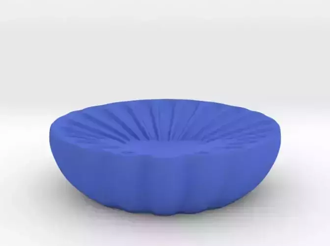 Seashell Soap Holder