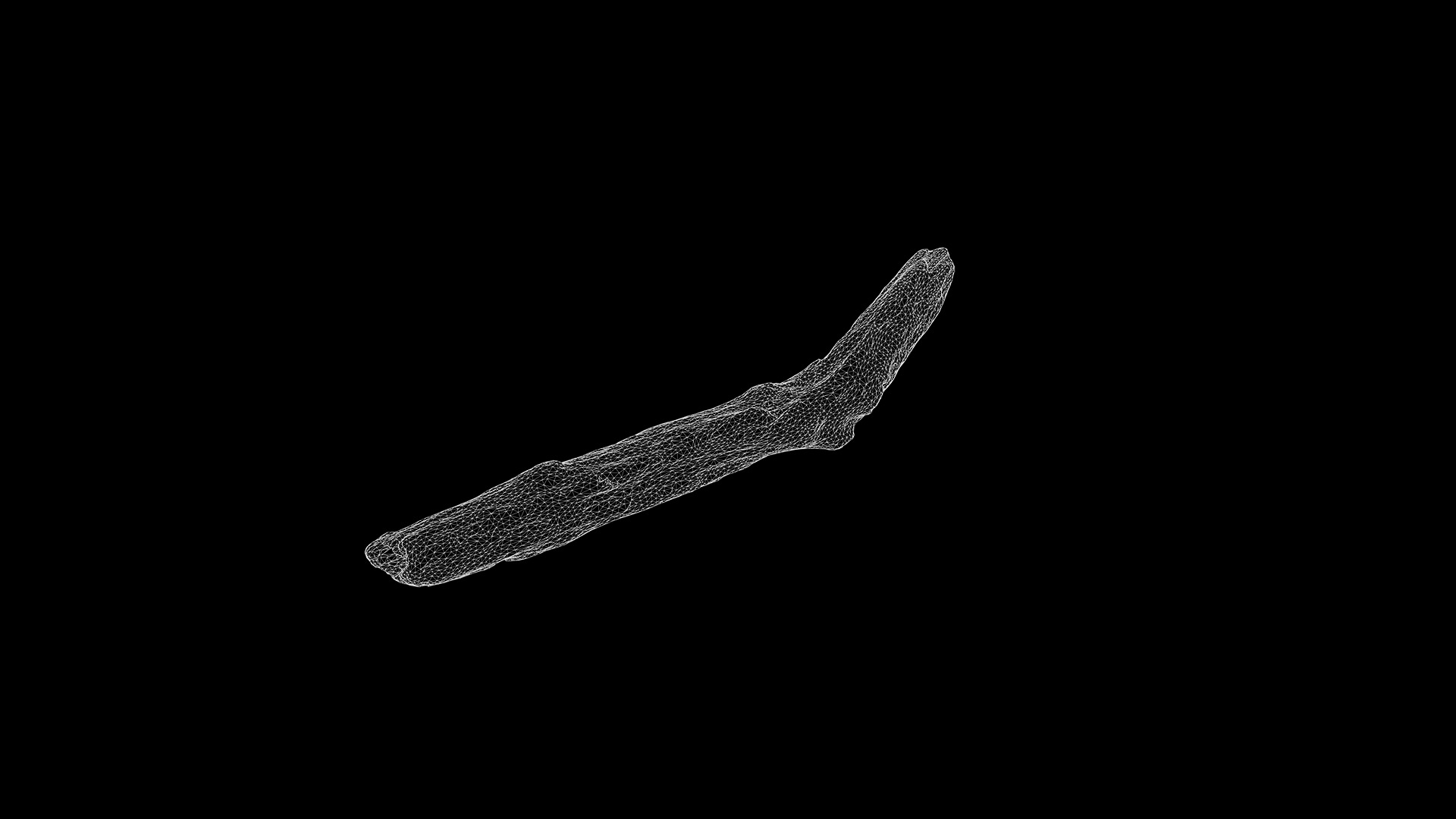 Anydrafts Log 30 Low-poly 3D model_3