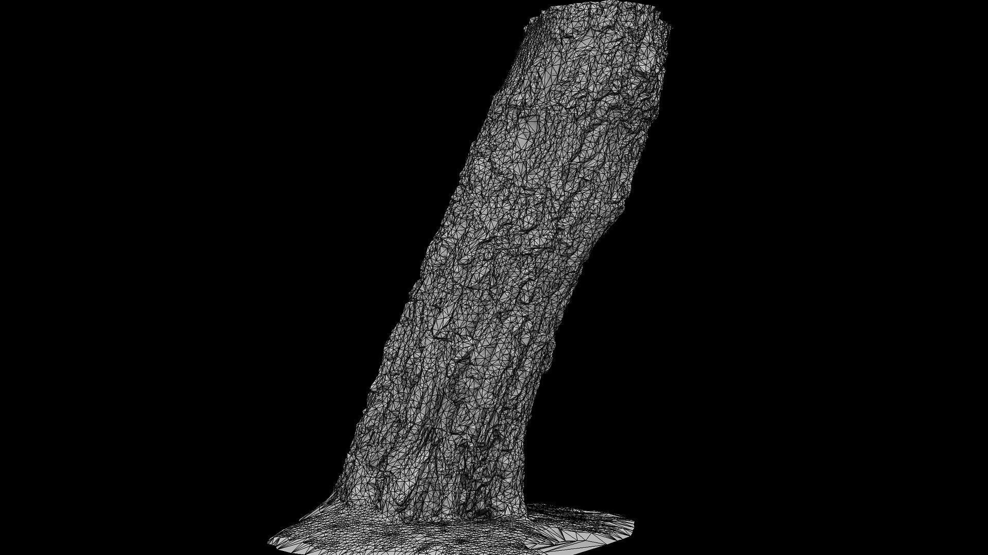 birch old tree trunk high-detail photogrammetry Low-poly 3D model_8