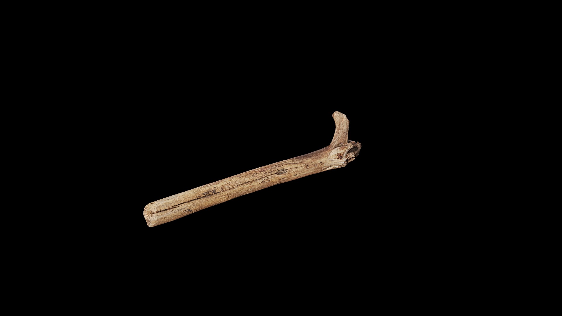 Anydrafts Log 31 Low-poly 3D model_7