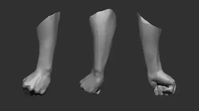 3D Scanned Male Fist - High-Resolution Male-Hispanic-23 Yrs old 3D model