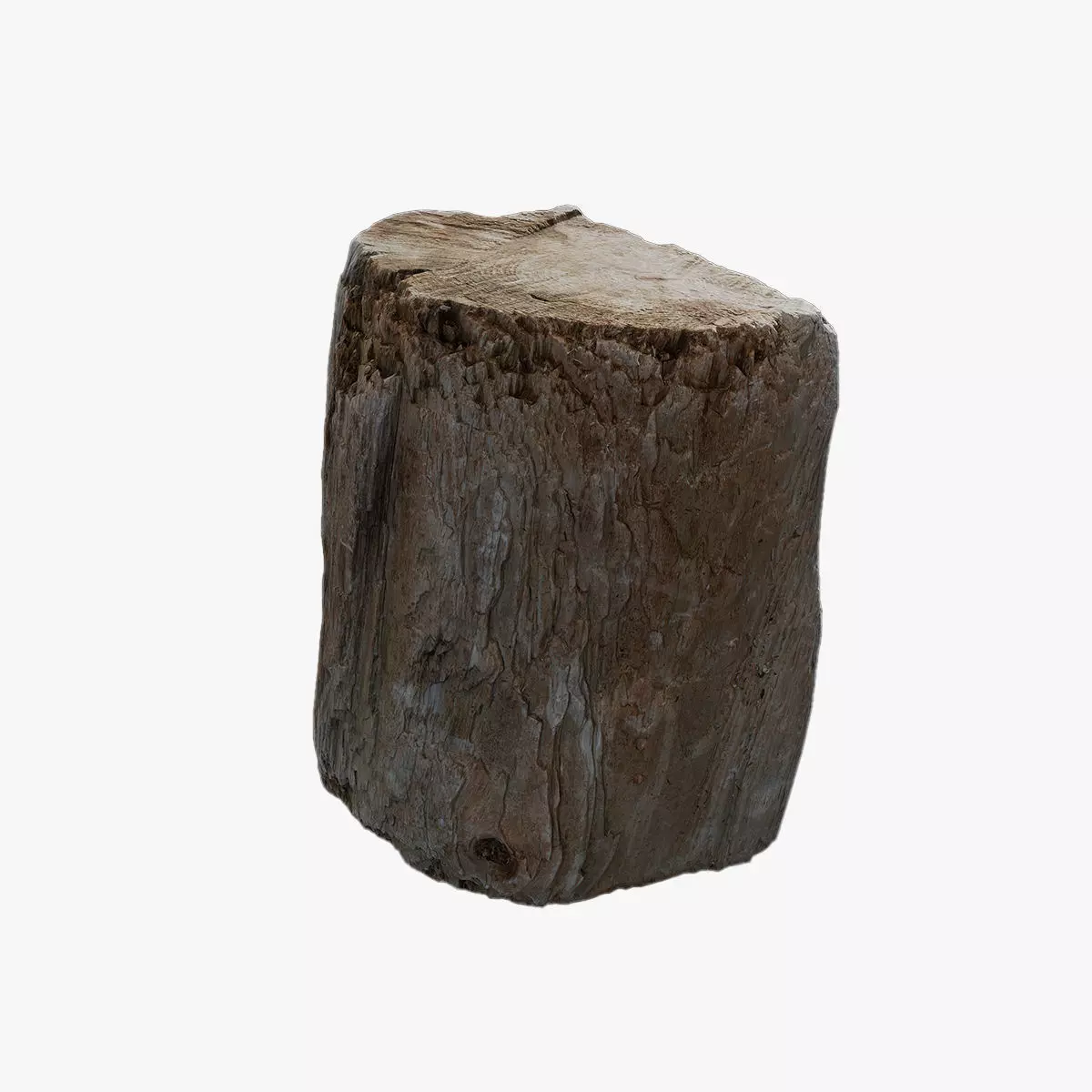 Anydrafts Log 37 Low-poly 3D model_0