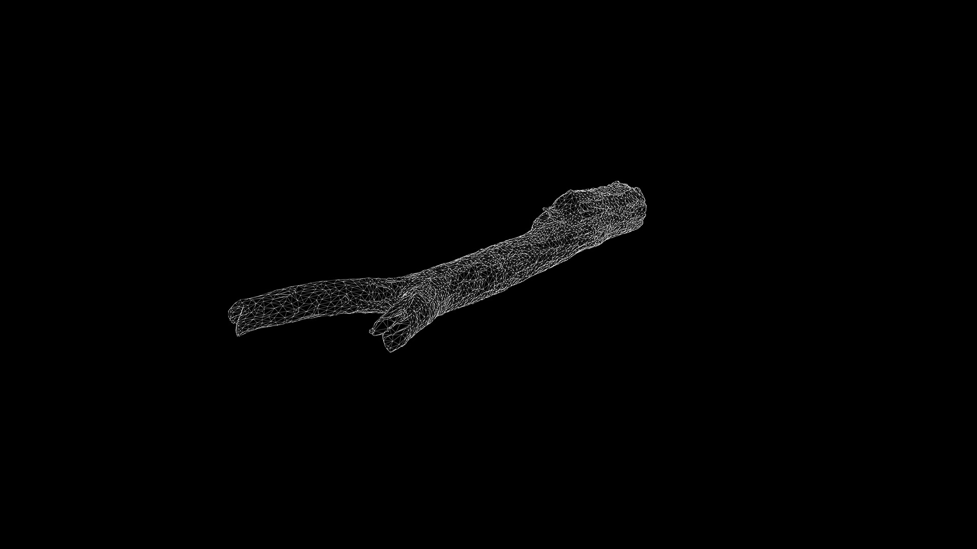 Anydrafts Log 47 Low-poly 3D model_3