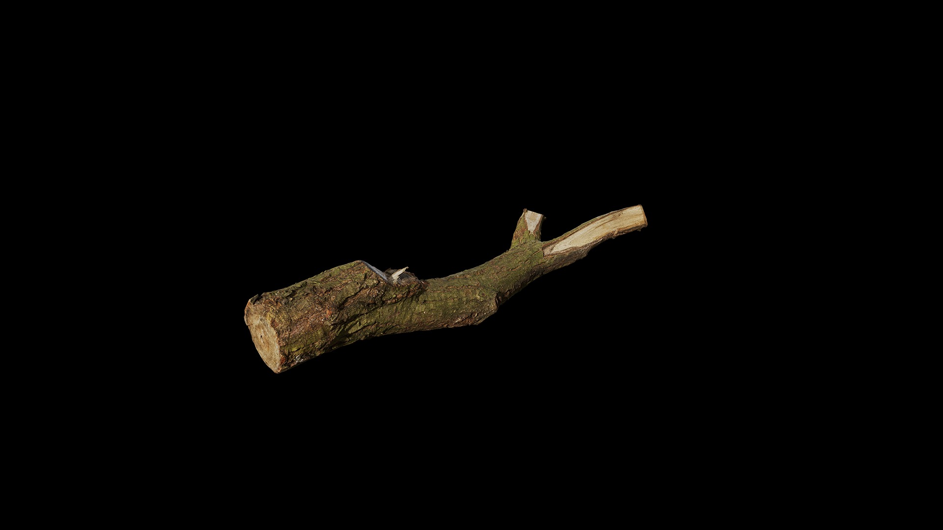 Anydrafts Log 47 Low-poly 3D model_7