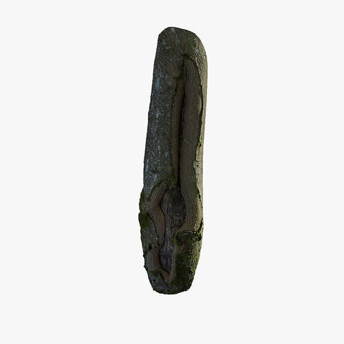 Anydrafts Magnolia officinalis Burl 01 Low-poly 3D model