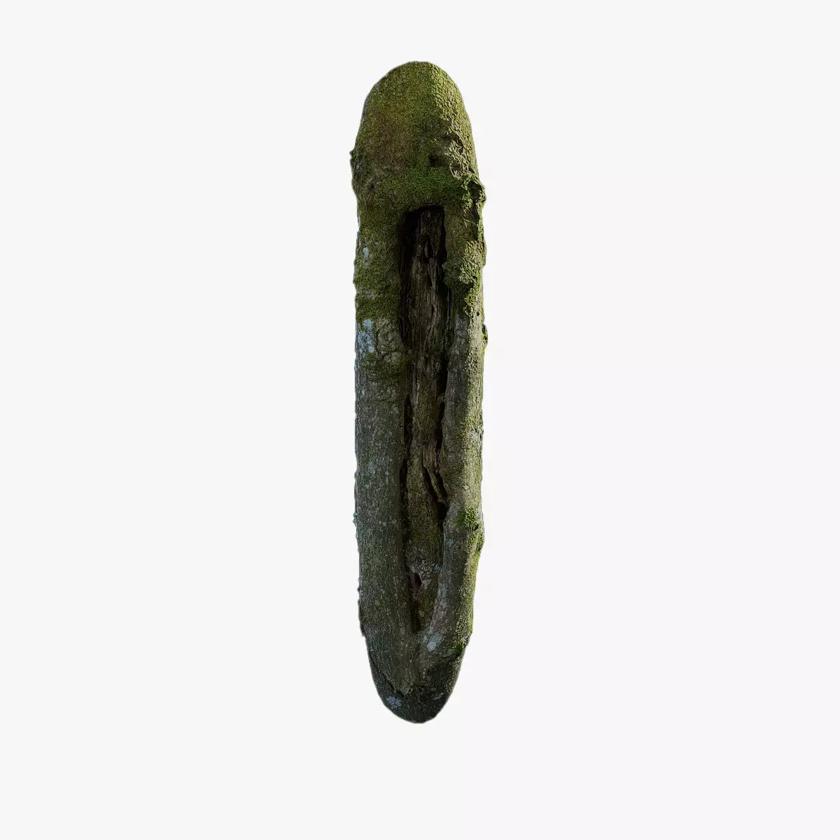 Anydrafts Magnolia officinalis Burl 04 Low-poly 3D model