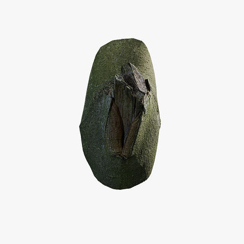 Anydrafts Magnolia officinalis Burl 06 Low-poly 3D model