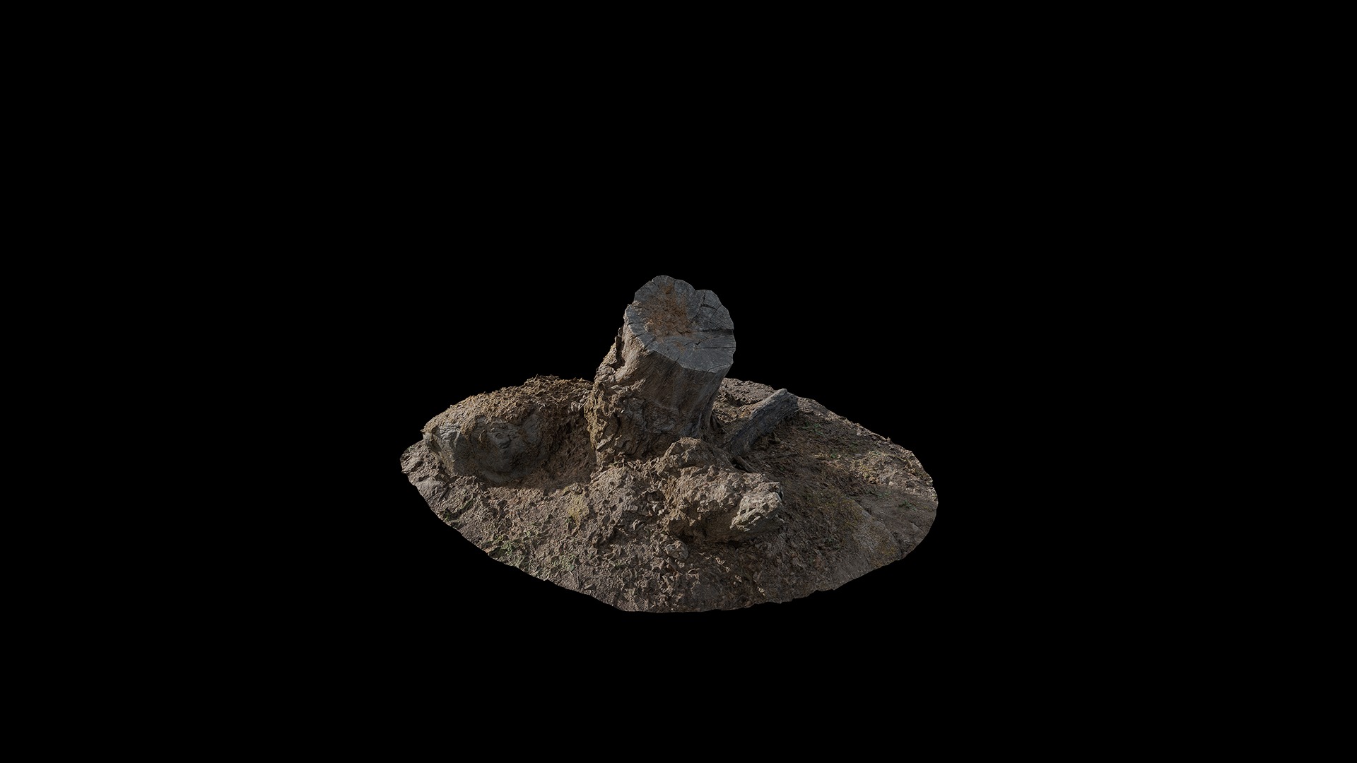 Anydrafts Mossy Stump 03 Low-poly 3D model_2