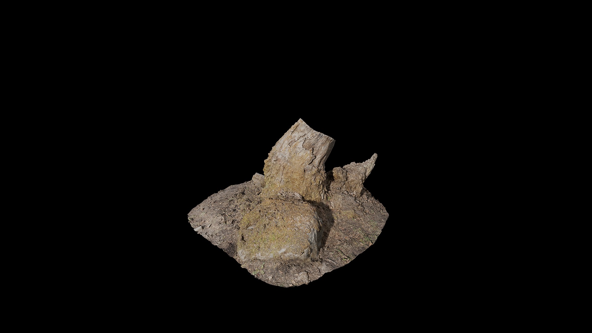 Anydrafts Mossy Stump 03 Low-poly 3D model_6