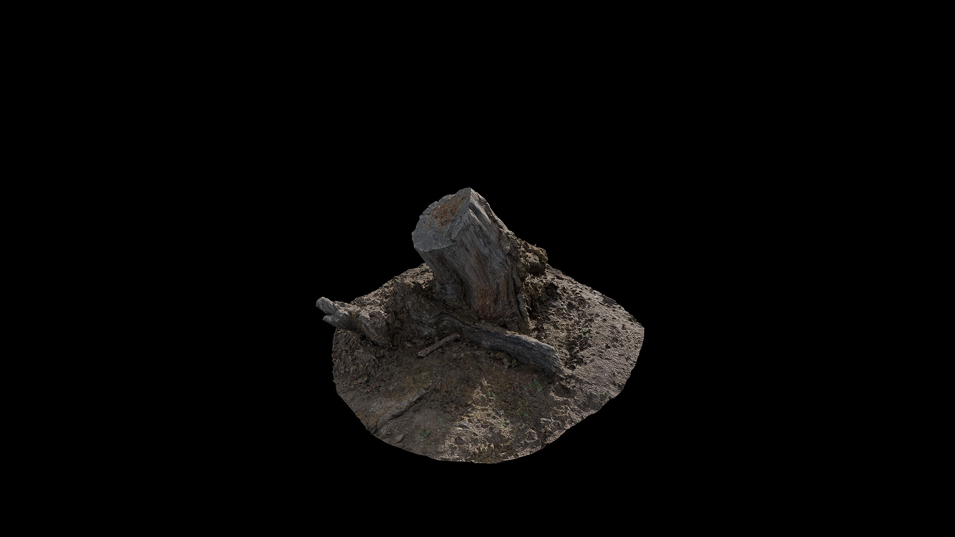 Anydrafts Mossy Stump 03 Low-poly 3D model_7