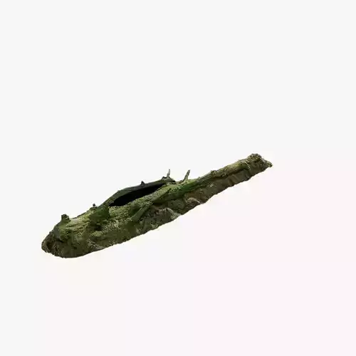 Anydrafts Old fallen tree 01