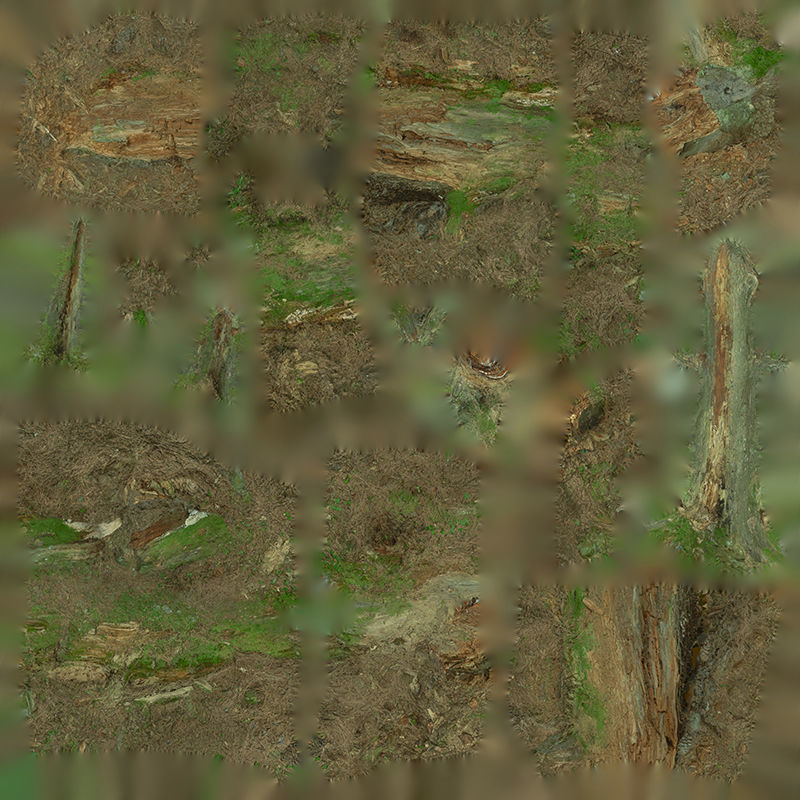 Anydrafts Old fallen tree 01 Low-poly 3D model_1