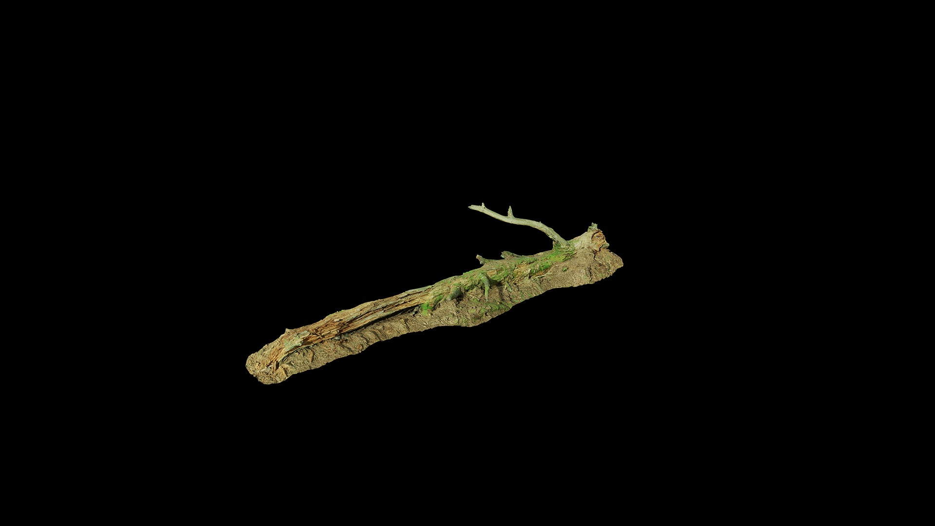 Anydrafts Old fallen tree 01 Low-poly 3D model_7