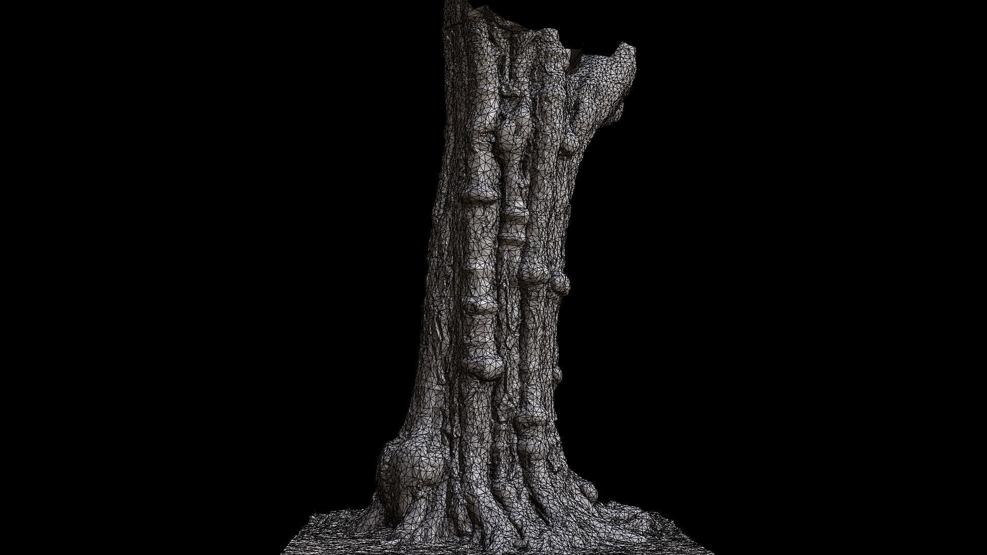 old tree sculpted trunk hdetail photogrammetry Low-poly 3D model_7