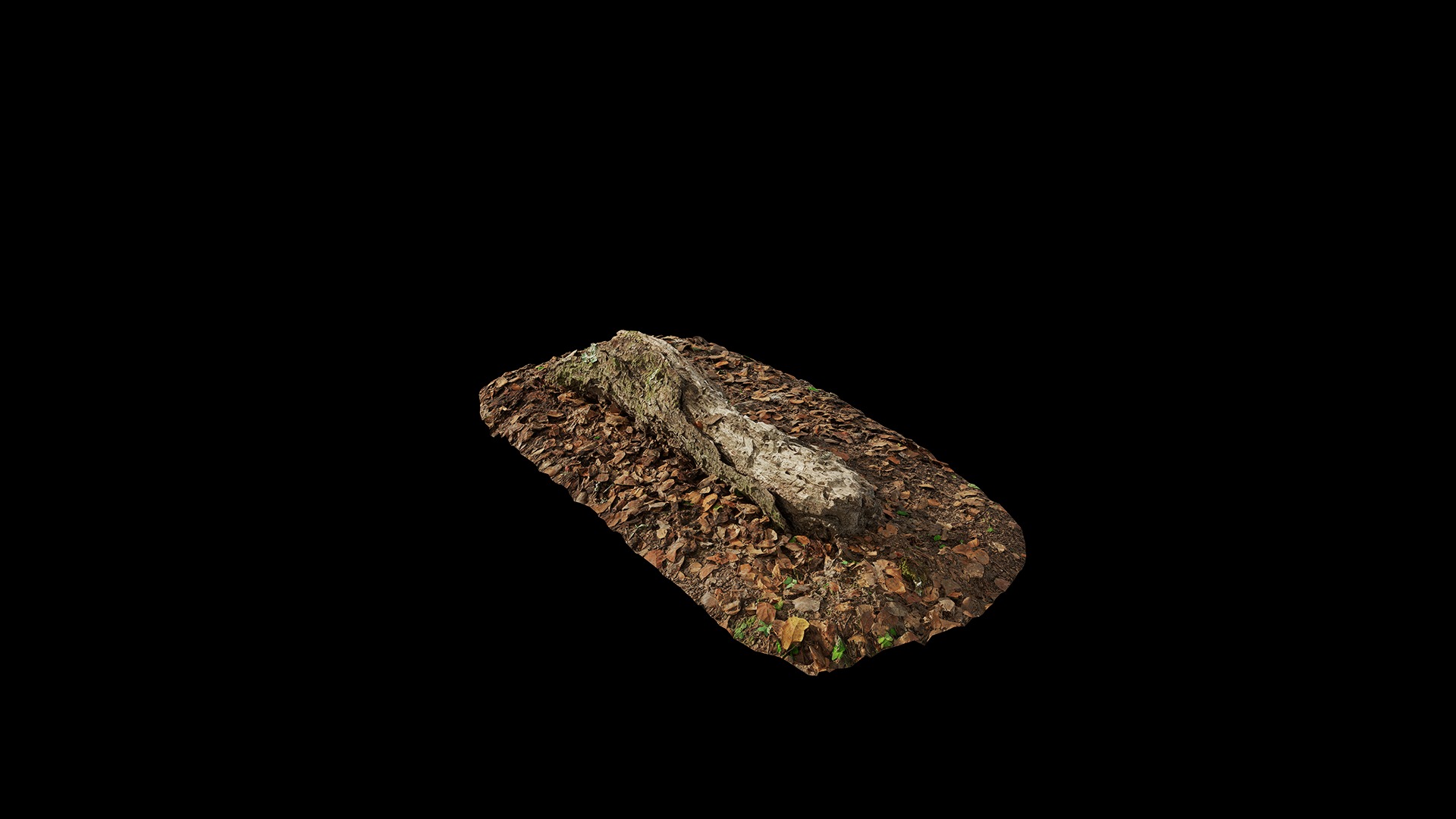 Anydrafts Old fallen tree 04 Low-poly 3D model_6