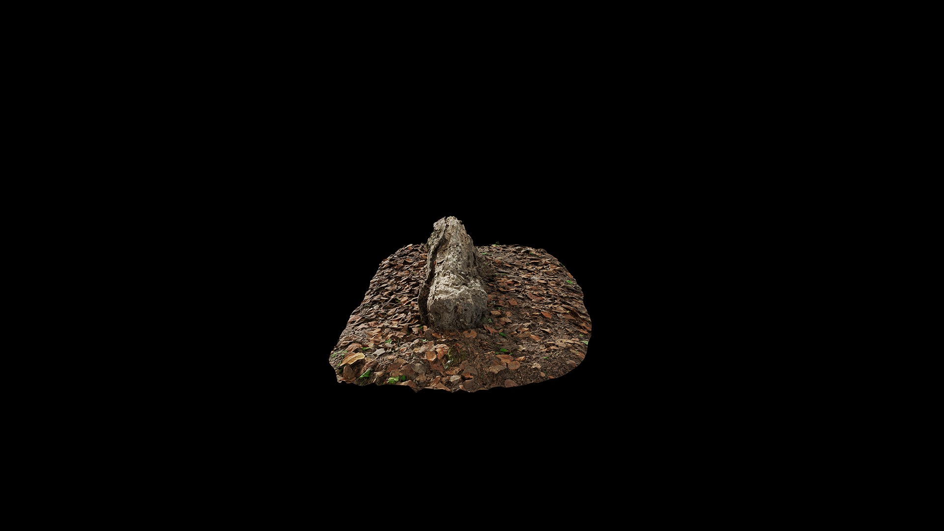 Anydrafts Old fallen tree 04 Low-poly 3D model_5