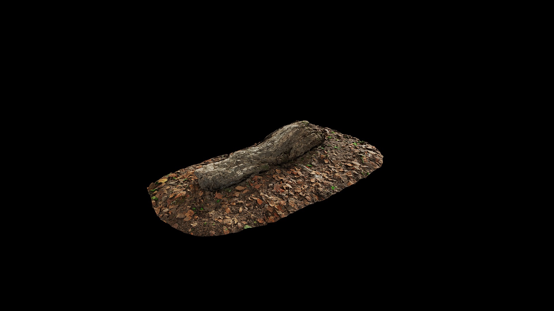 Anydrafts Old fallen tree 04 Low-poly 3D model_2