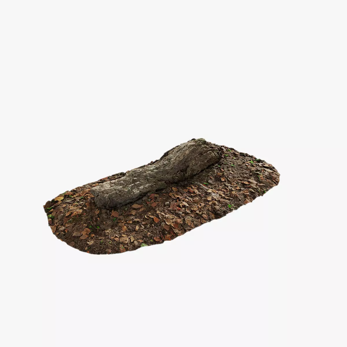 Anydrafts Old fallen tree 04 Low-poly 3D model_0