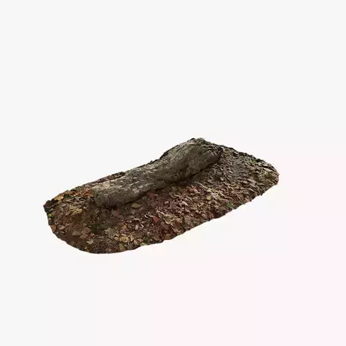 Anydrafts Old fallen tree 04