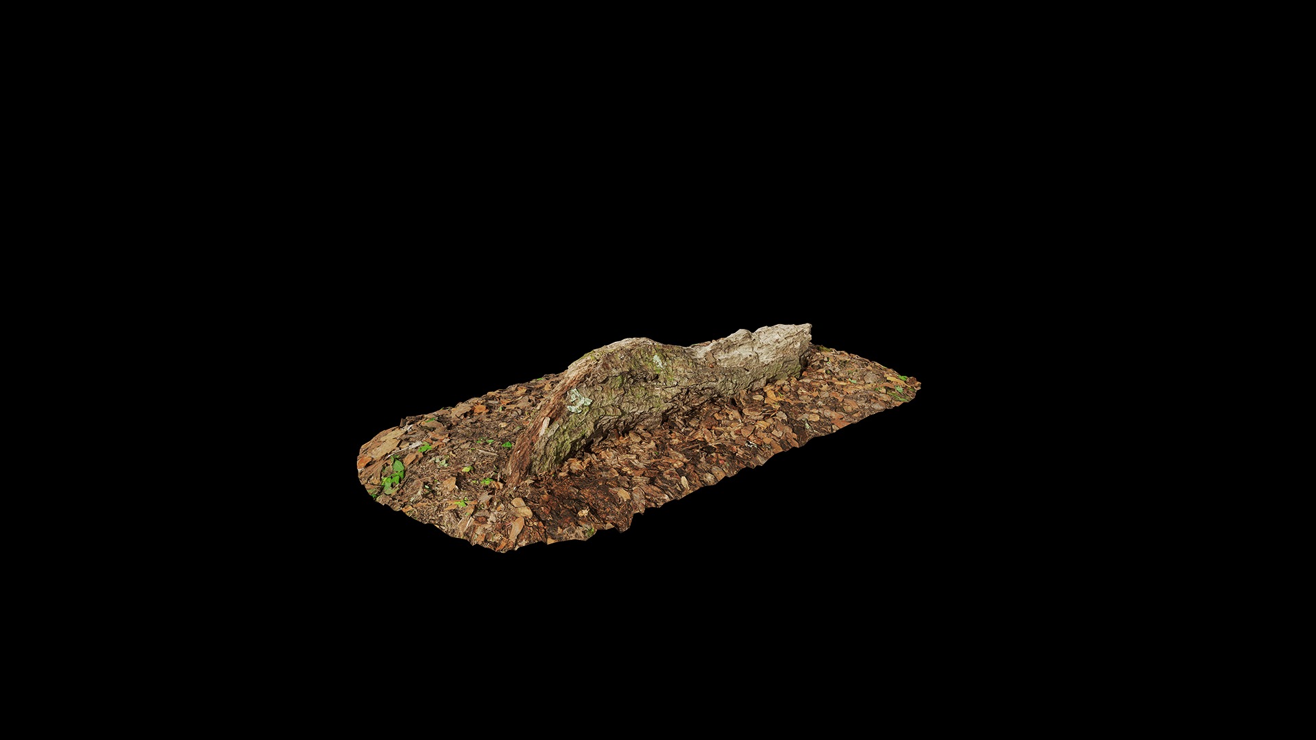 Anydrafts Old fallen tree 04 Low-poly 3D model_7