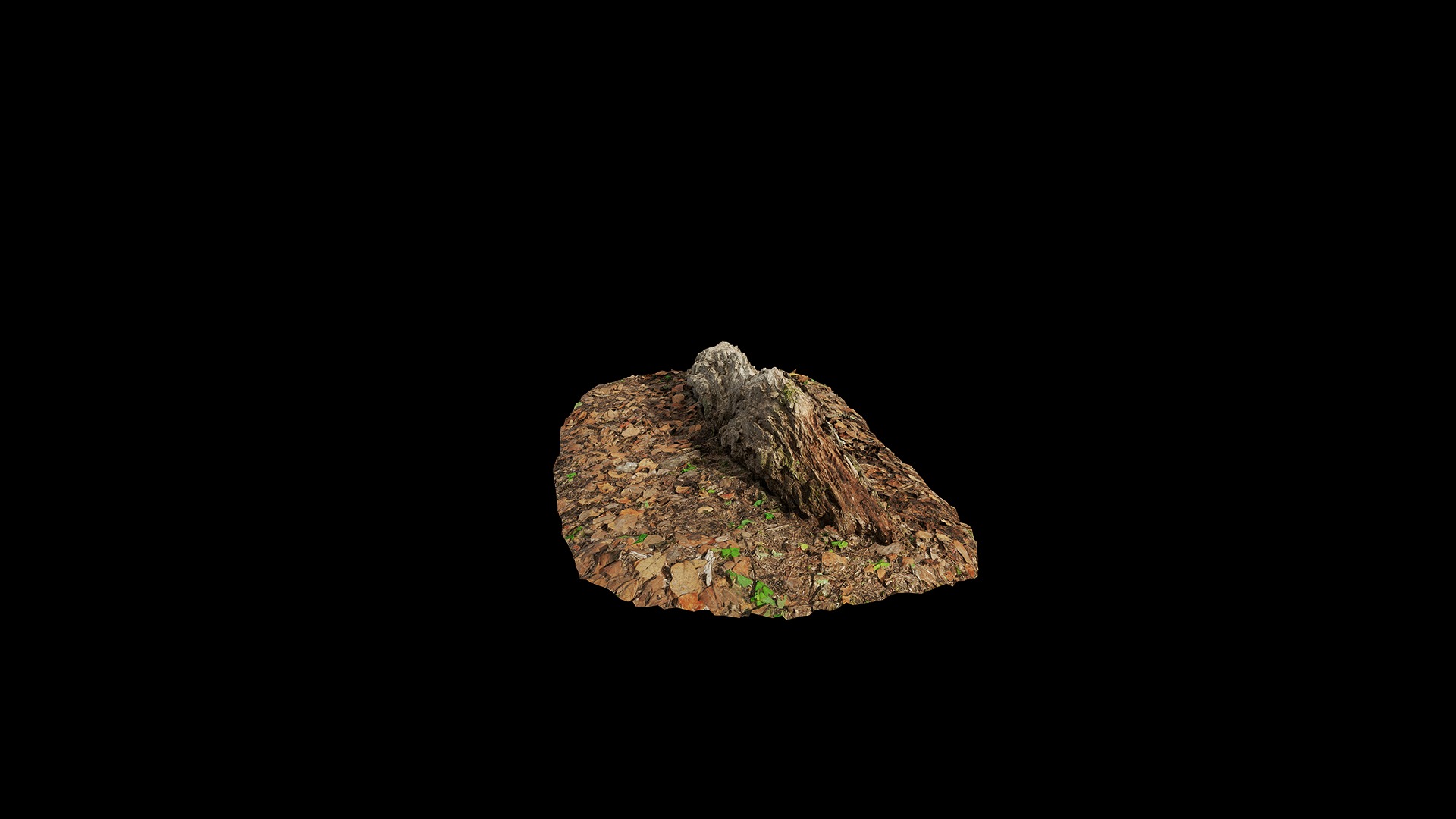 Anydrafts Old fallen tree 04 Low-poly 3D model_4