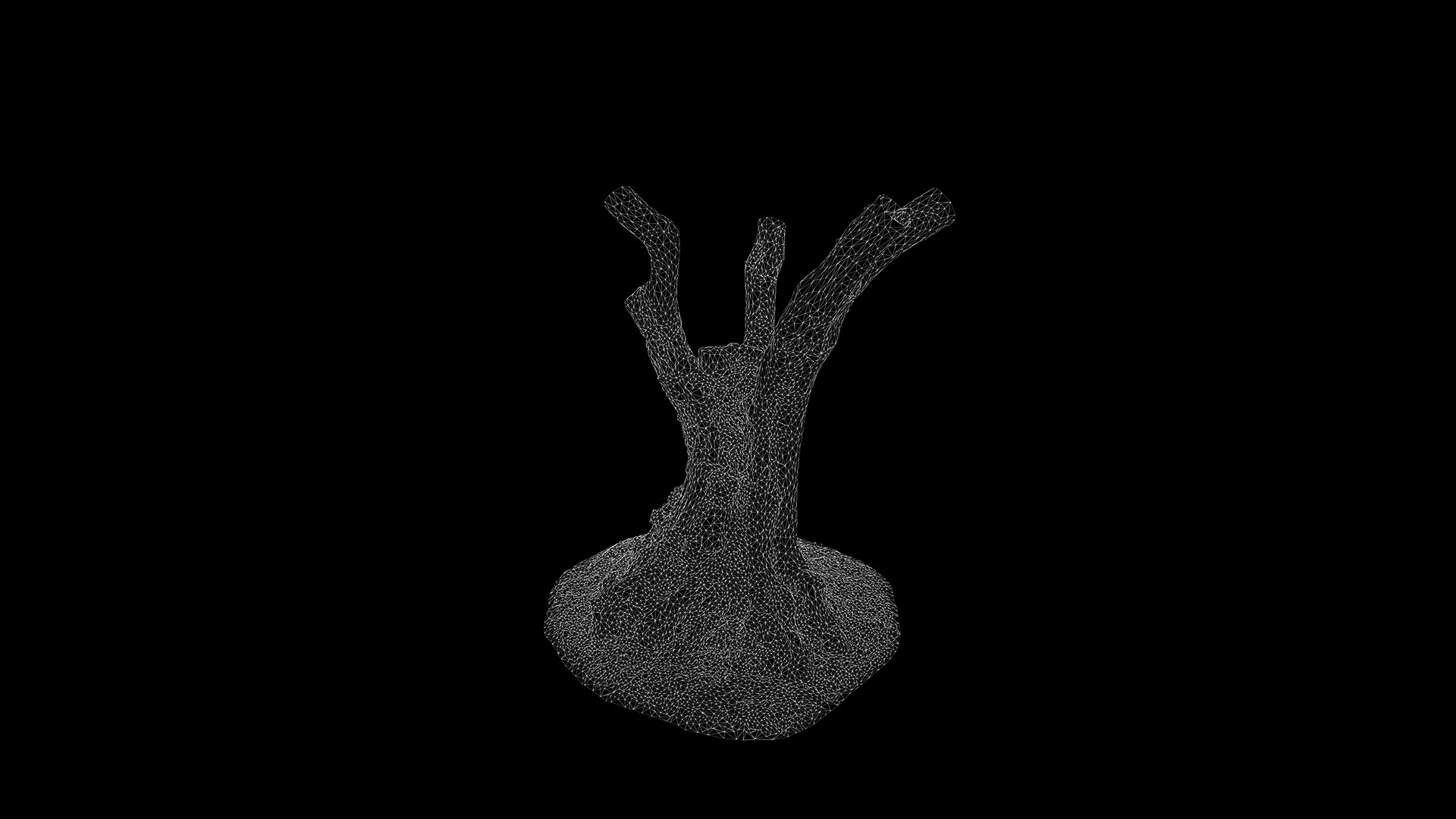 Anydrafts Olea europaea Trunk 01 Low-poly 3D model_3