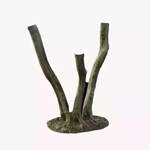 Anydrafts Olea europaea Trunk 03