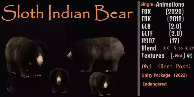Sloth Bear Low-poly 3D model