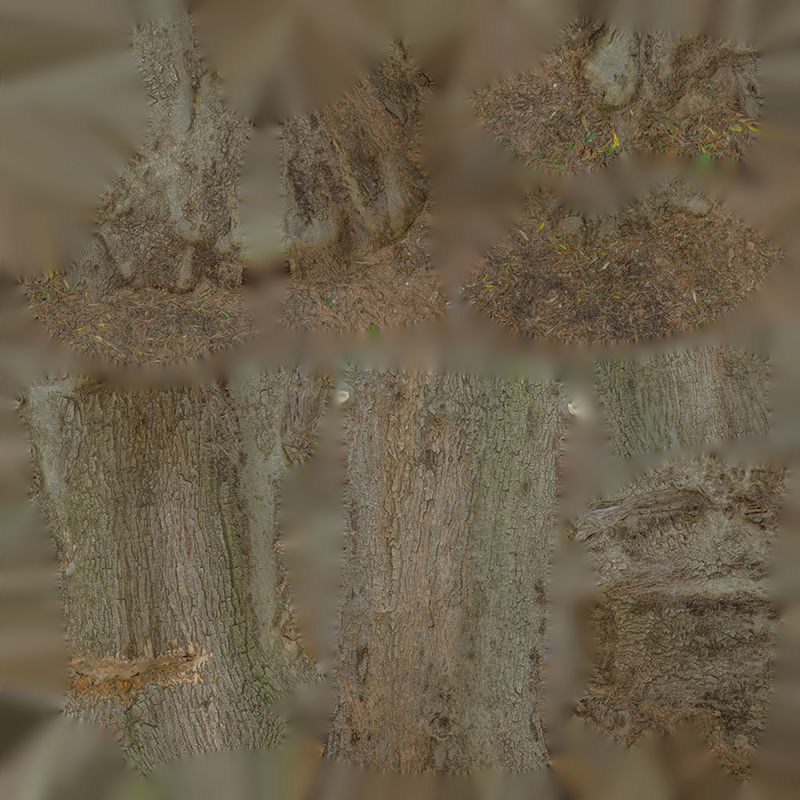 Anydrafts Olea europaea Trunk 04 Low-poly 3D model_1