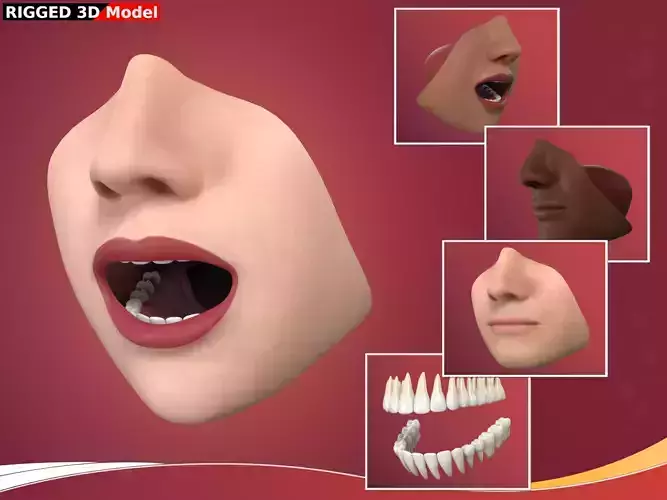 Lips - Mouth - Teeth - Human Anatomy - 3 Skin Textures - Rigged