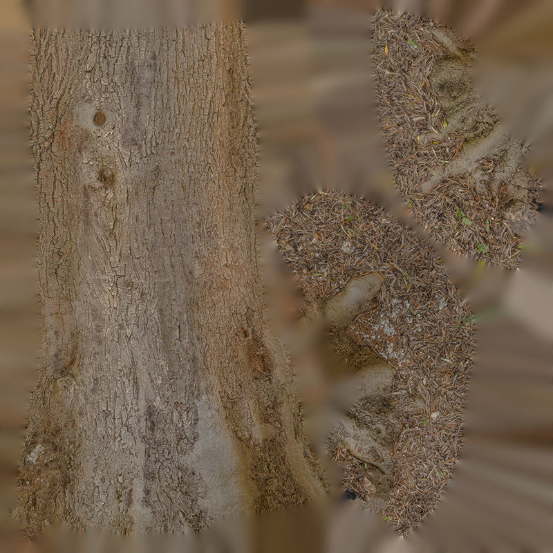 Anydrafts Olea europaea Trunk 07 Low-poly 3D model_1