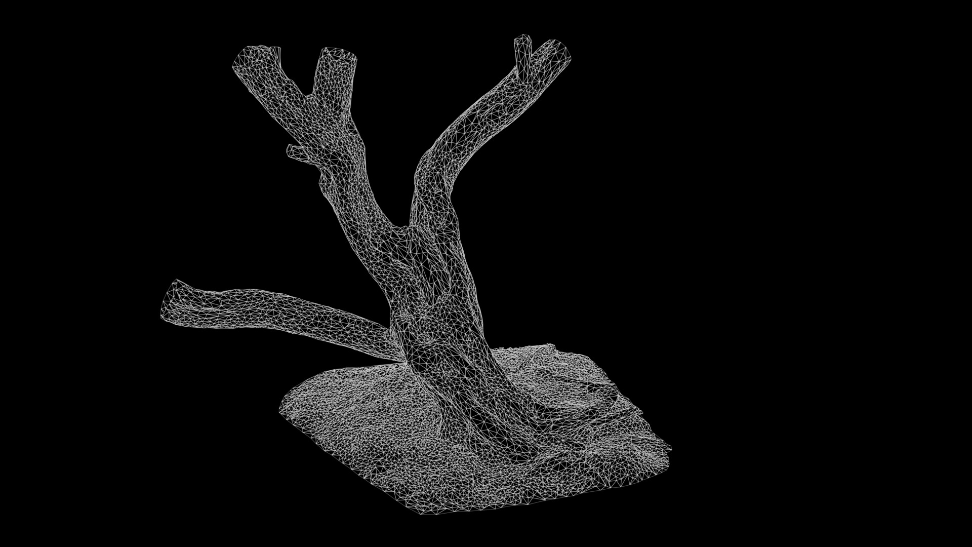 Anydrafts Olea europaea Trunk 08 Low-poly 3D model_3