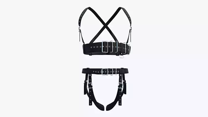 Two Parts Body Harness SXS70
