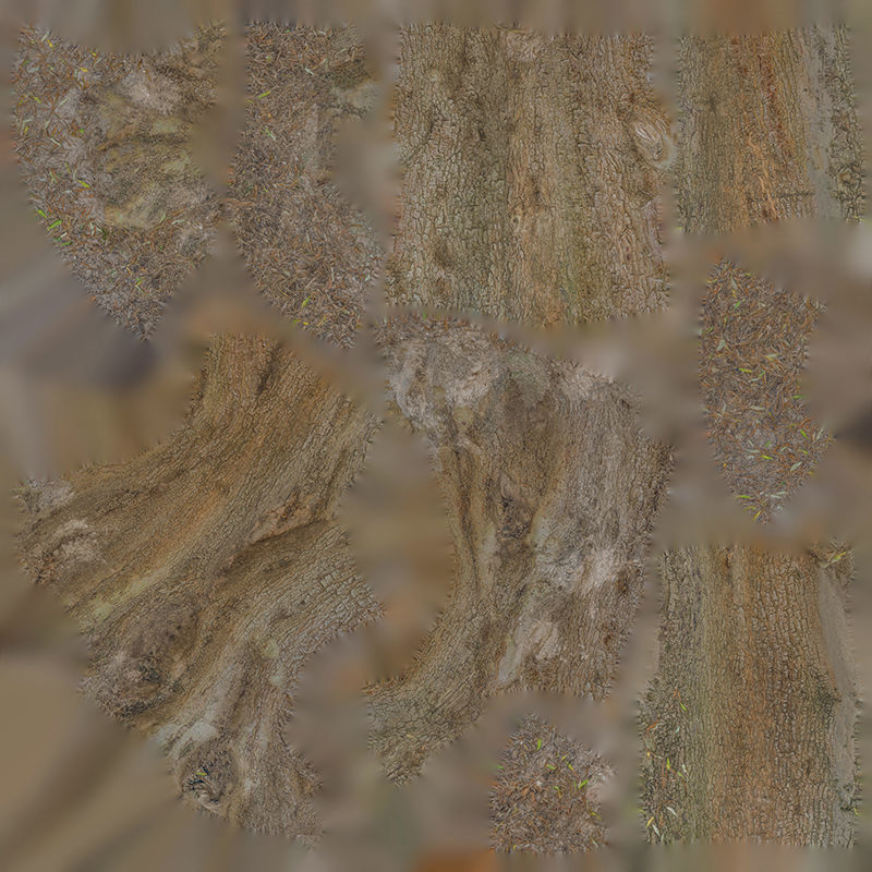 Anydrafts Olea europaea Trunk 09 Low-poly 3D model_1