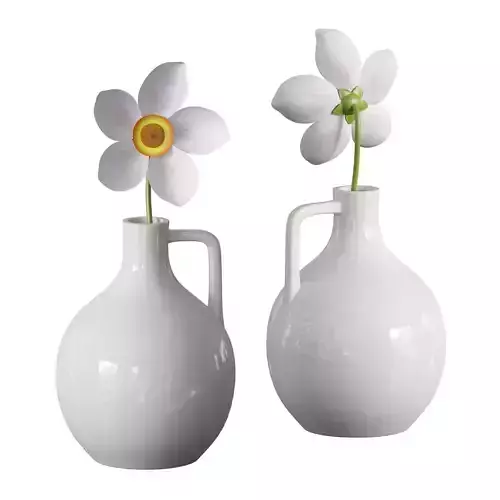 Flower in a jug Anemone