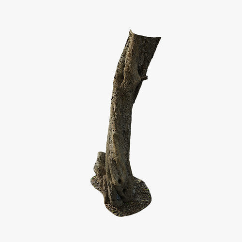 Anydrafts Olea europaea Trunk 10 Low-poly 3D model