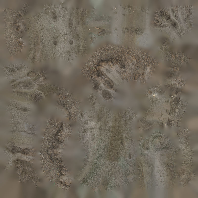 Anydrafts Olea europaea Trunk 11 Low-poly 3D model_1