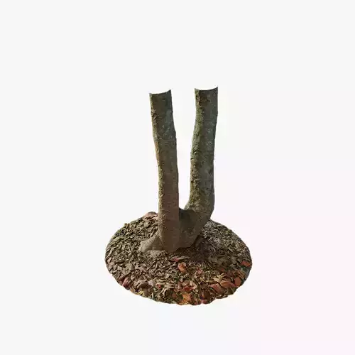 Anydrafts Oroxylum indicum Trunk 01 Low-poly 3D model