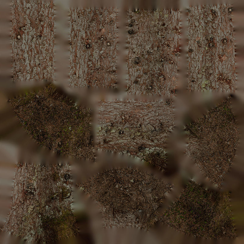 Anydrafts Picea asperata Trunk 01 Low-poly 3D model_1