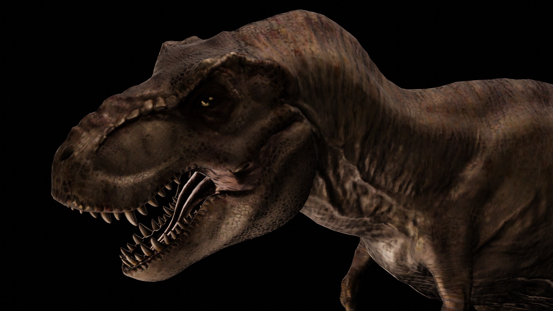 Rigged Tyrannosaurus Rex 3D Model 3D model_7