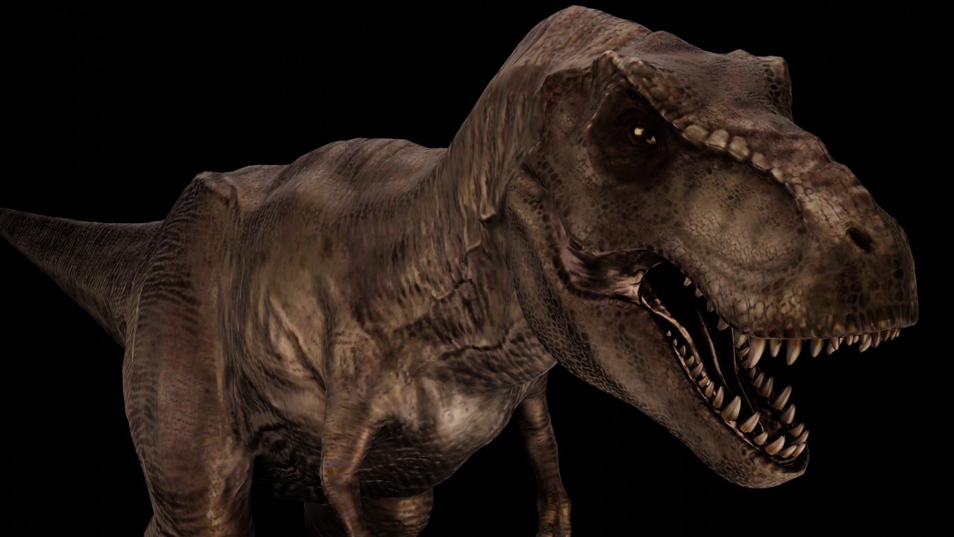Rigged Tyrannosaurus Rex 3D Model 3D model_8