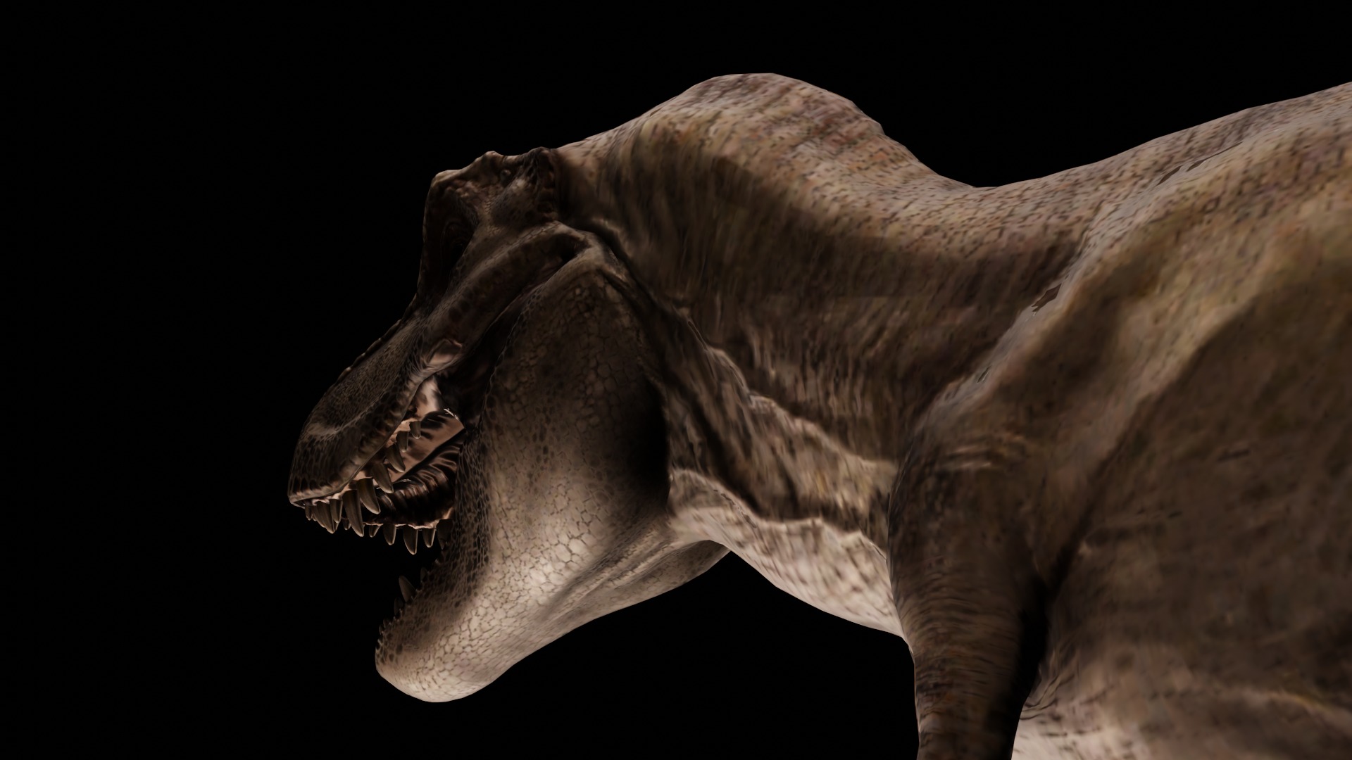 Rigged Tyrannosaurus Rex 3D Model 3D model_10