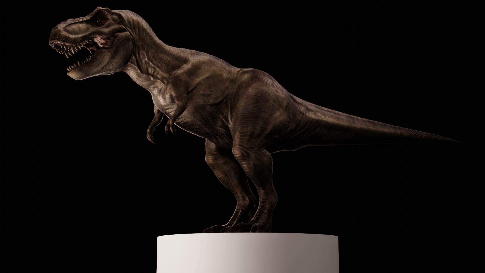 Rigged Tyrannosaurus Rex 3D Model 3D model_5
