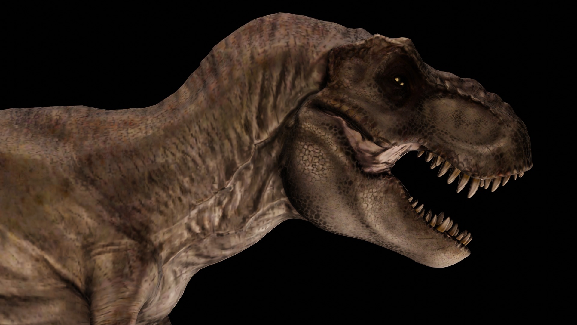 Rigged Tyrannosaurus Rex 3D Model 3D model_9