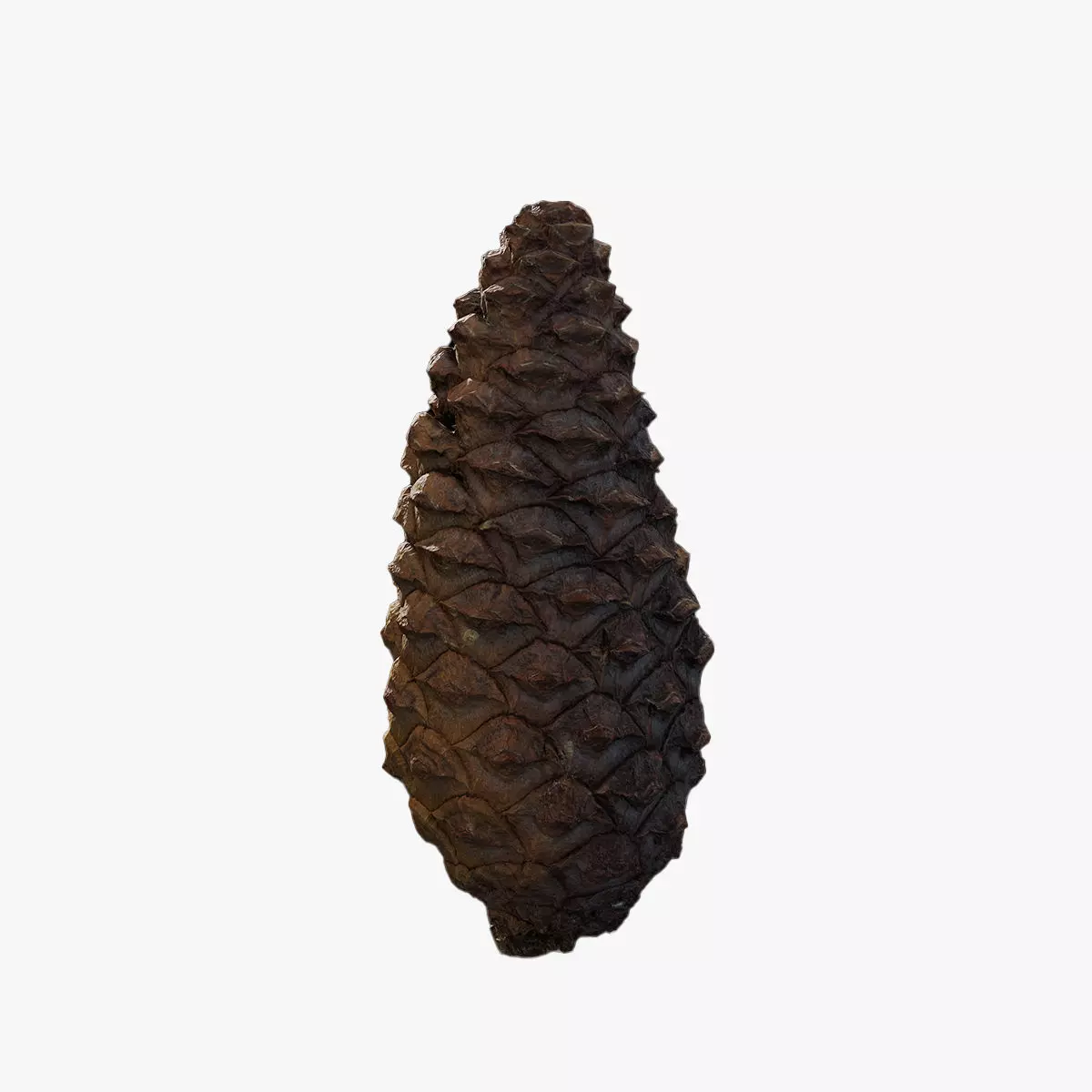 Anydrafts Pine cone 09 Low-poly 3D model_0