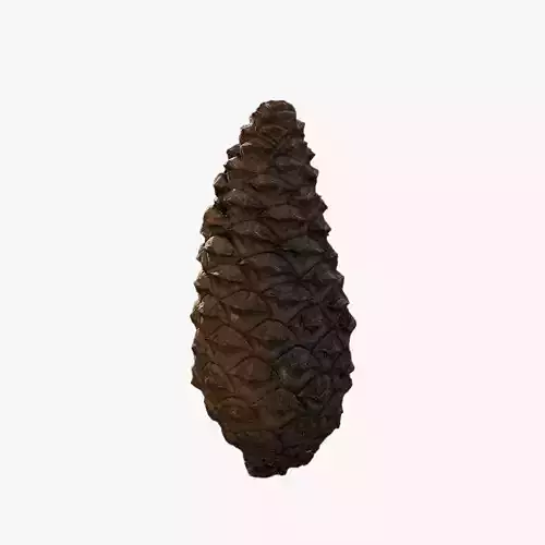 Anydrafts Pine cone 09