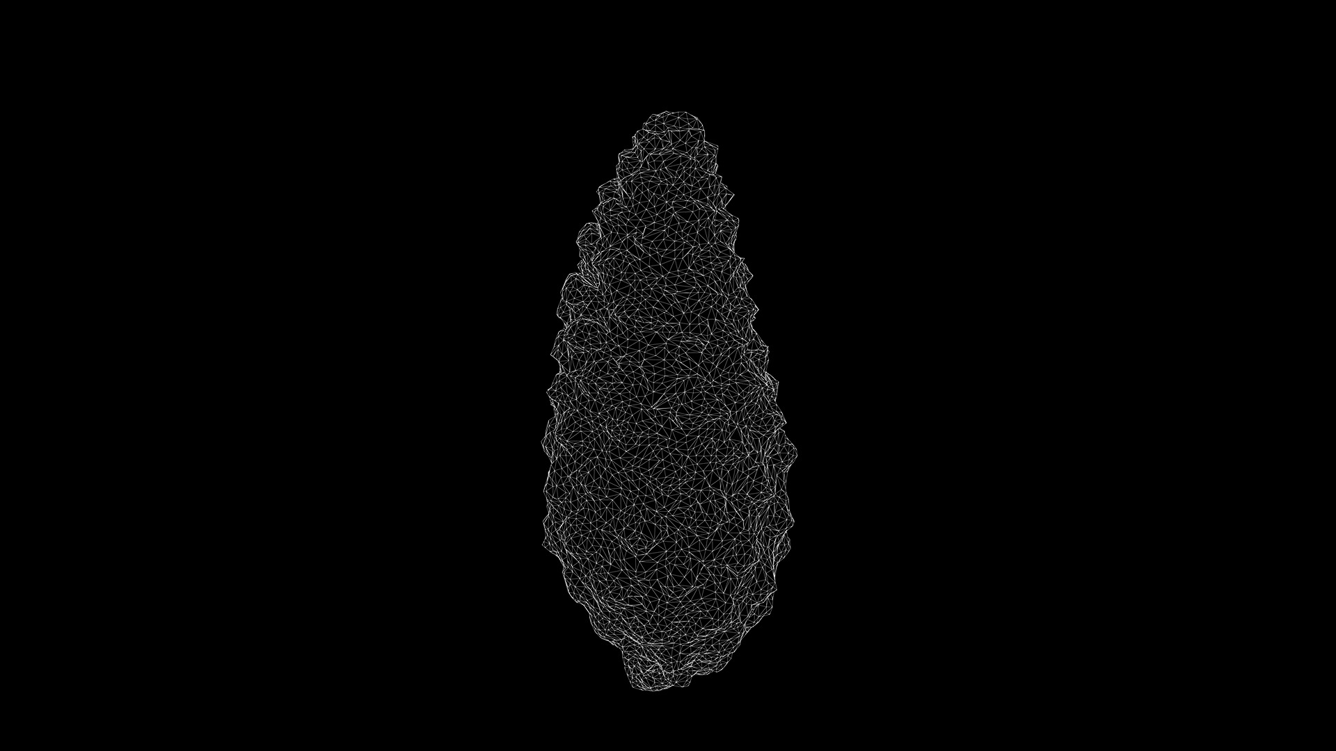 Anydrafts Pine cone 09 Low-poly 3D model_3