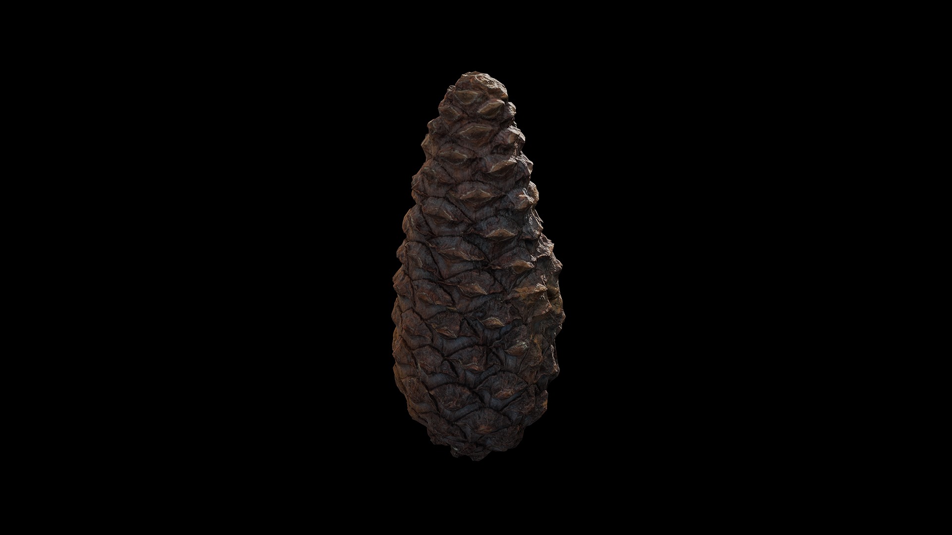 Anydrafts Pine cone 09 Low-poly 3D model_7