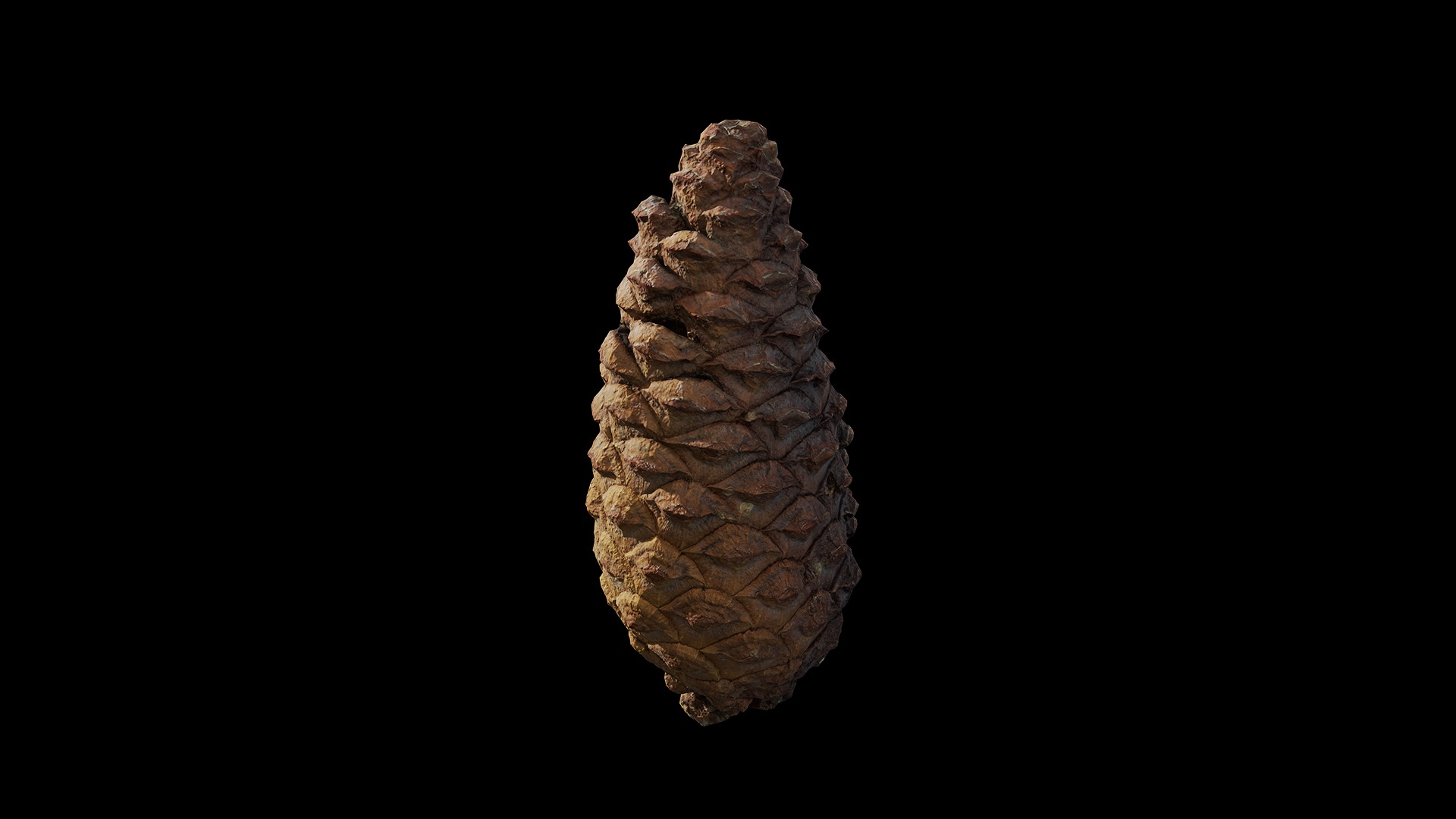 Anydrafts Pine cone 09 Low-poly 3D model_5