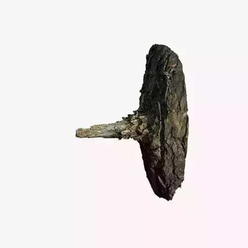 Anydrafts Pinus Branch 11